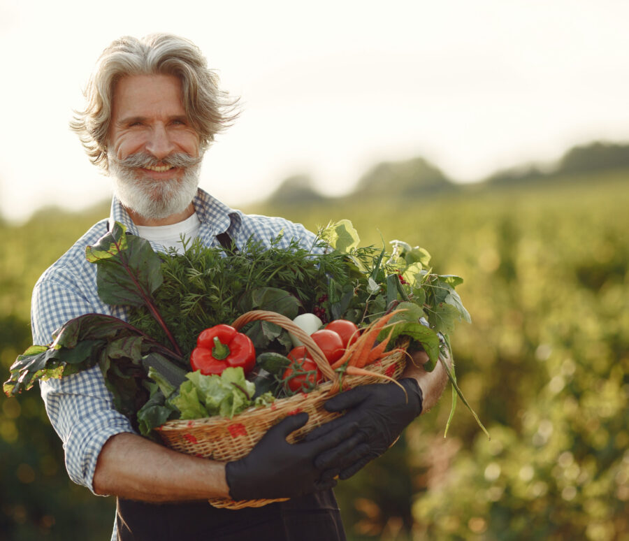 Senior with box vegetables garden background sunse Senior with box vegetables garden background sunse